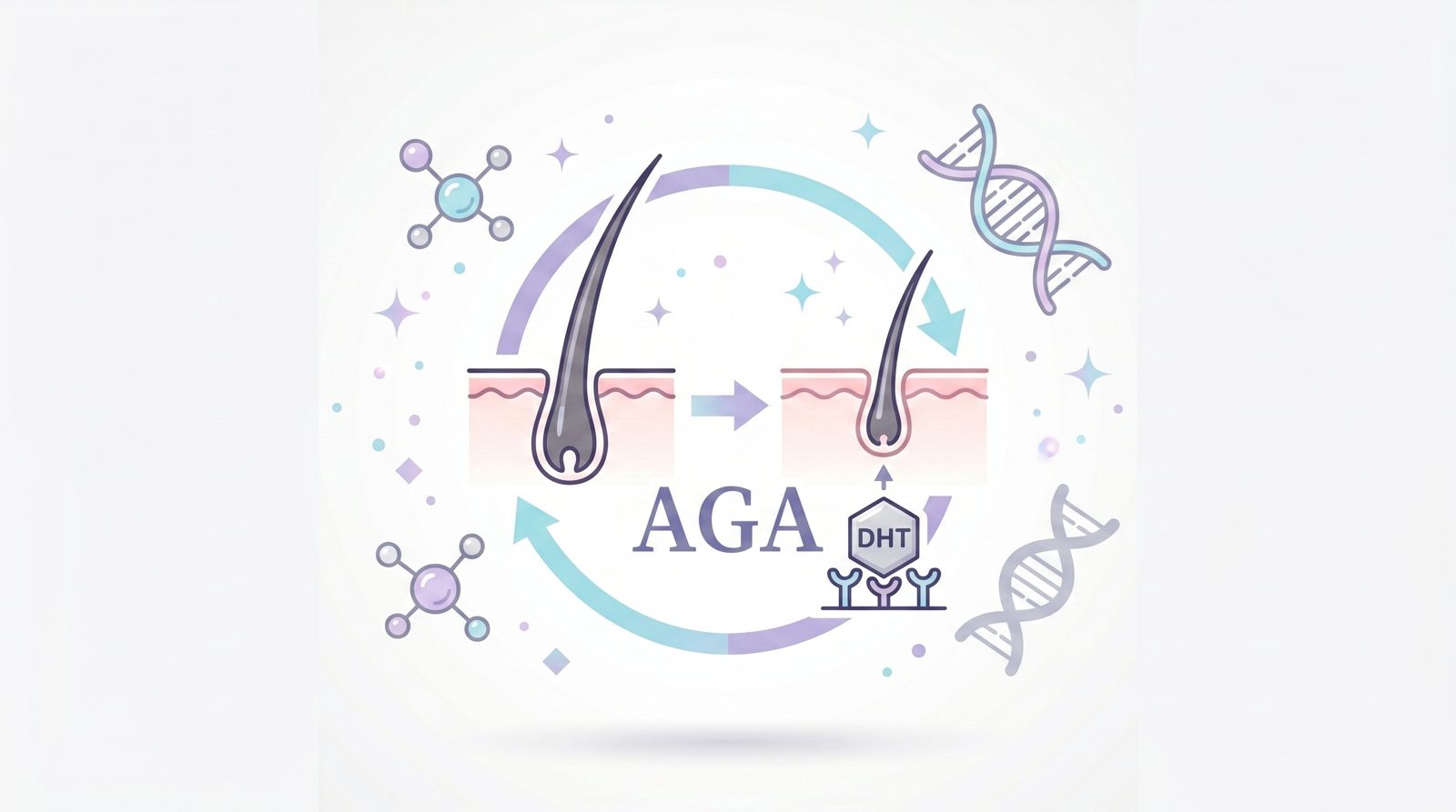 AGAの根本原因：DHT（ジヒドロテストステロン）のメカニズム