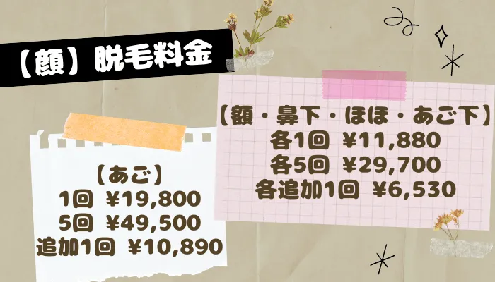 レジーナクリニック顔脱毛料金