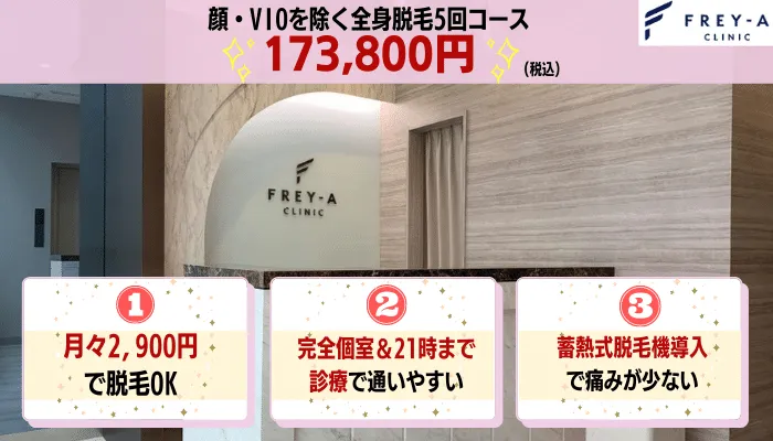 フレイアクリニック全身比較月額修正銀座