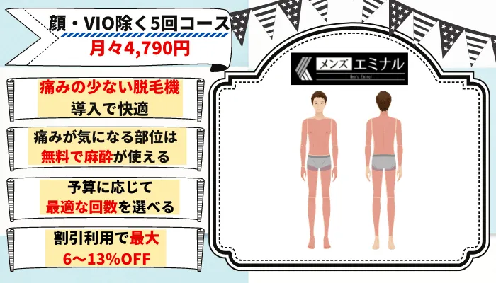 メンズエミナル全身脱毛デビュープラン
