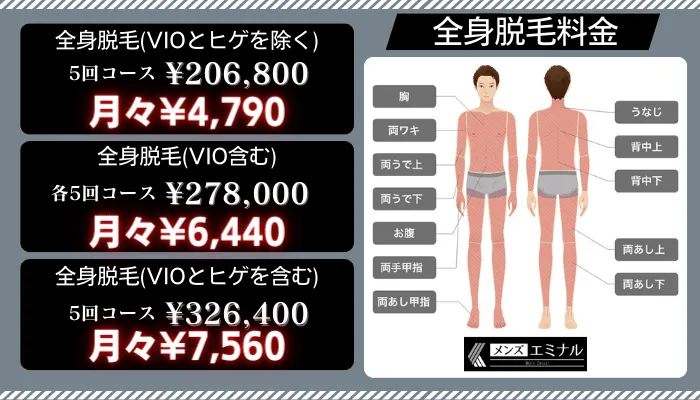 メンズエミナルデビュープラン全身脱毛料金