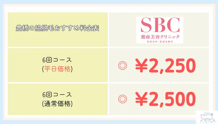 脇脱毛おすすめ豊橋