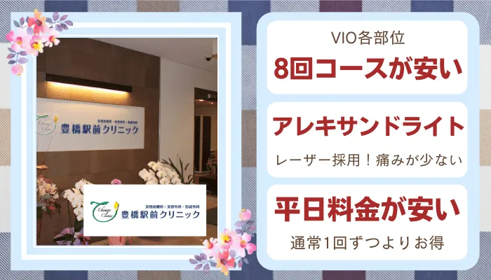 豊橋駅前クリニック比較VIO