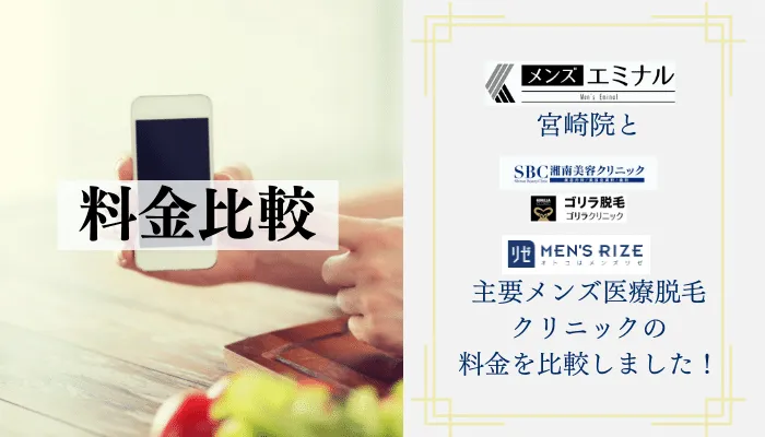 メンズエミナル宮崎院料金比較