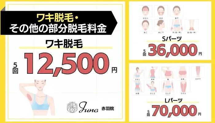 ジュノビューティークリニック赤羽ワキ脱毛・その他の部分脱毛