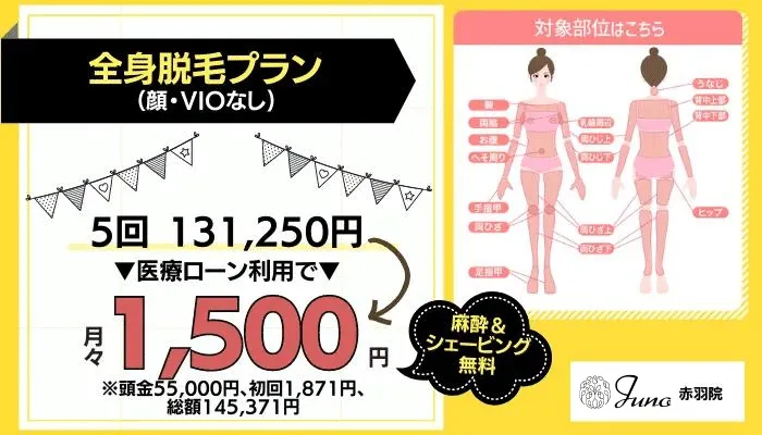 ジュノビューティークリニック赤羽全身脱毛プラン