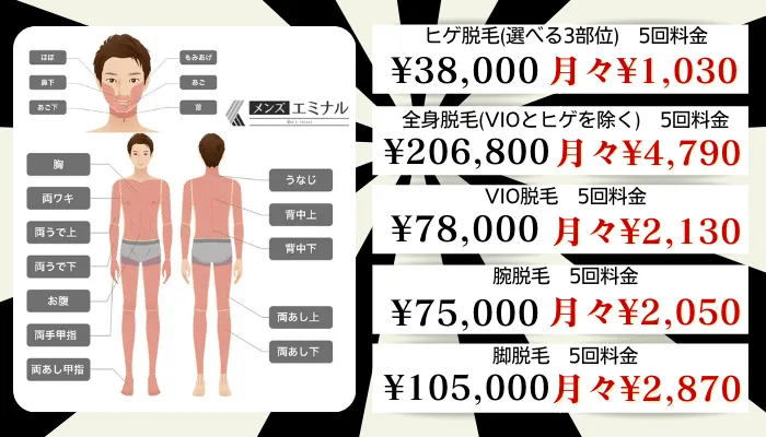メンズエミナル比較料金デビュープラン