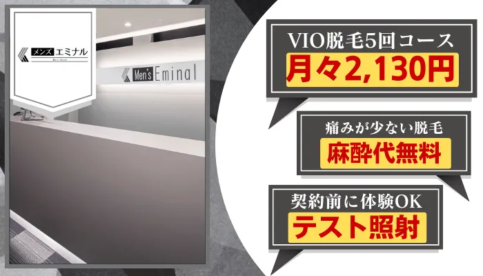 メンズエミナル比較VIO