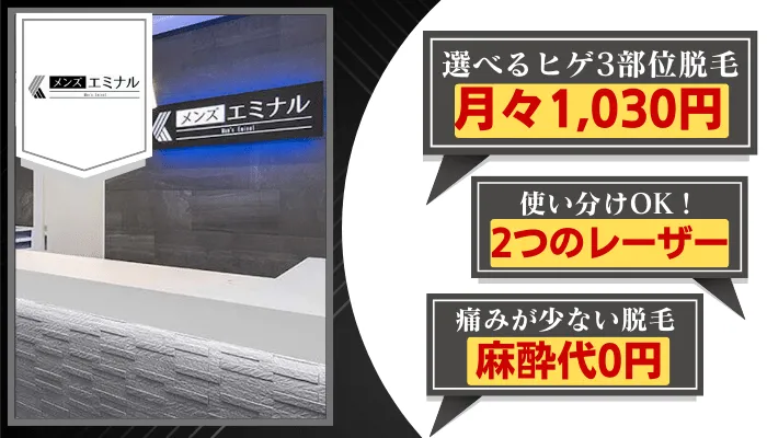 メンズエミナル比較ヒゲ