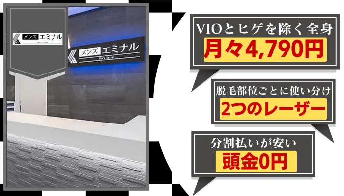 メンズエミナル比較全身