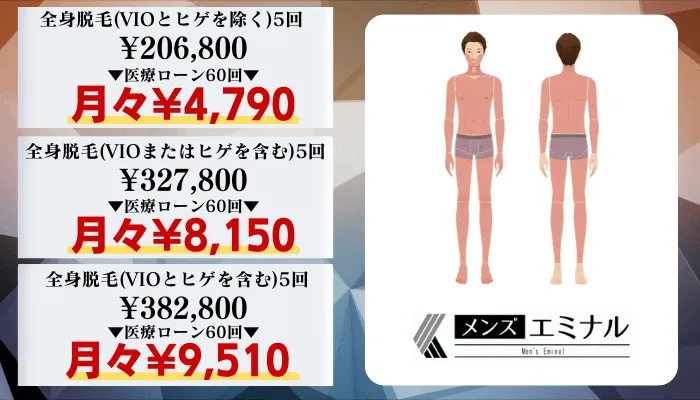 メンズエミナル比較料金全身