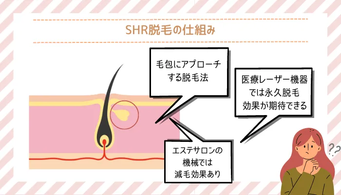 SHR脱毛の仕組み