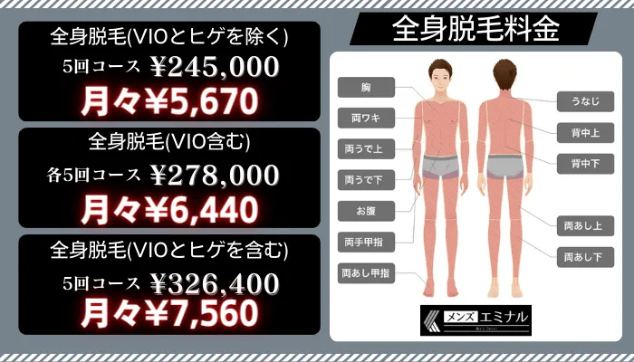 メンズエミナルデビュープラン全身脱毛料金
