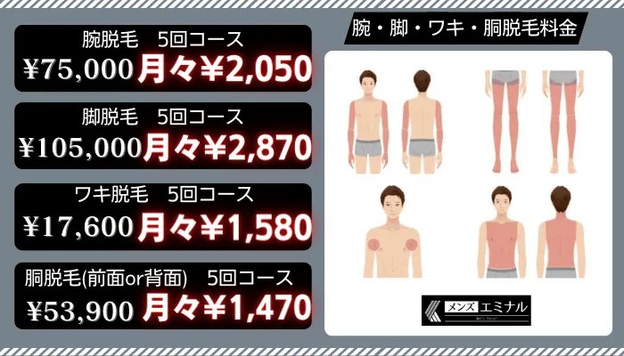 メンズエミナル腕・脚・ワキ・胴脱毛新価格