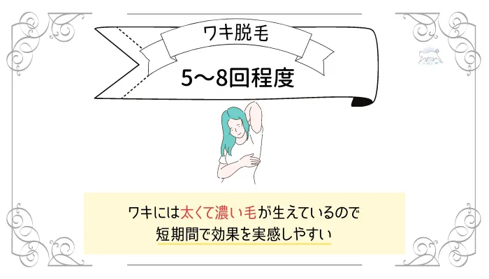 ワキ脱毛は5〜8回程度