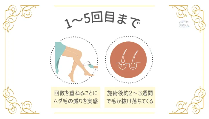 回数別に見る医療脱毛の効果と期間1〜5回目まで