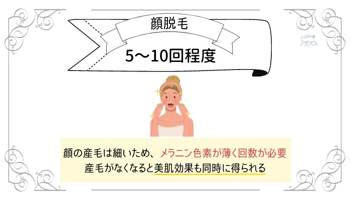 顔脱毛は5〜10回程度