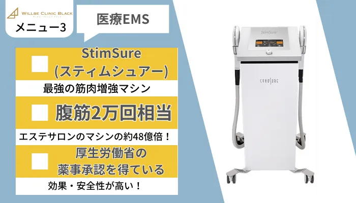 ウィルビークリニックブラック医療痩身メニュー3