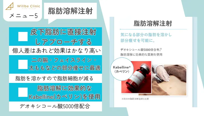 ウィルビークリニック医療ダイエットメニュー5