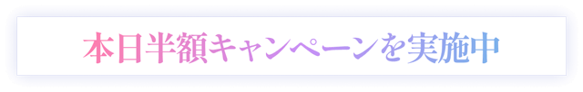 導入記念半額キャンペーンを実施中