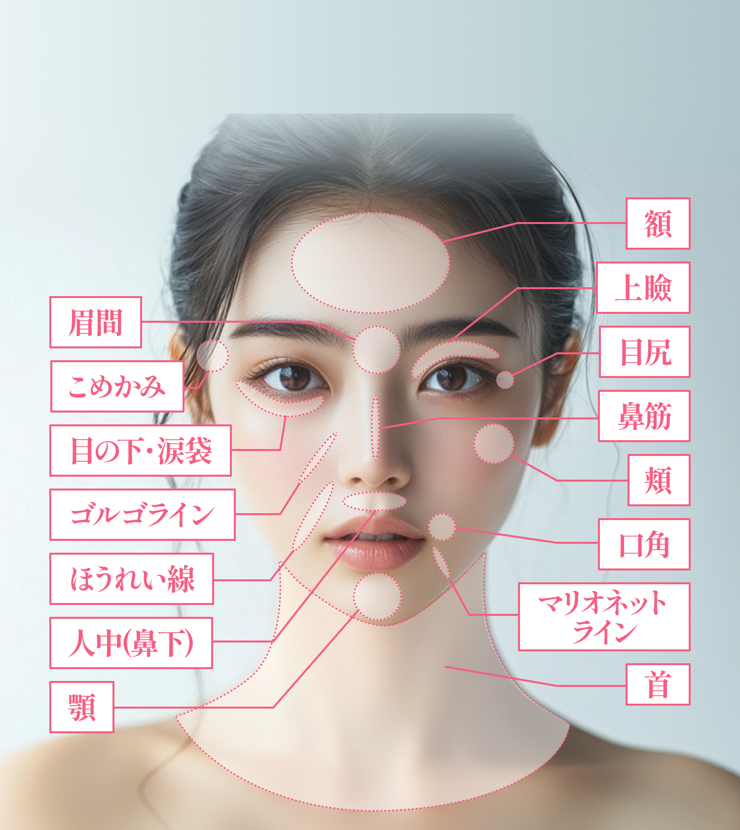女性の顔