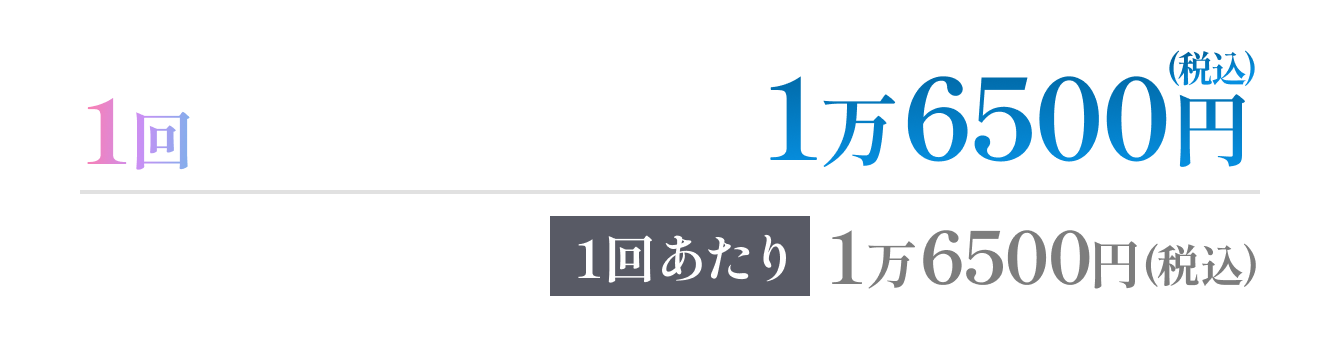 1回 1万6500円(税込) 1回あたり1万6500円(税込)