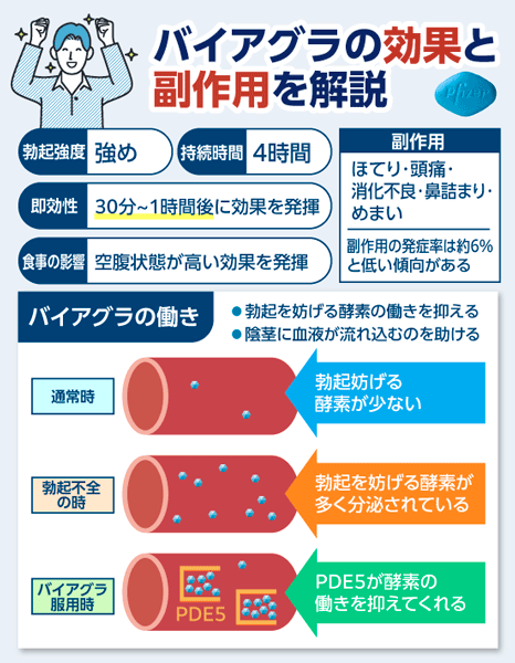 バイアグラの効果と副作用についてまとめた画像