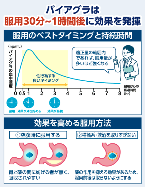 バイアグラは服用後30分~1時間後に効果を発揮する